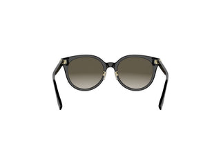 FENDI Forever Fendi FE40208F women Black Pantos Sunglasses