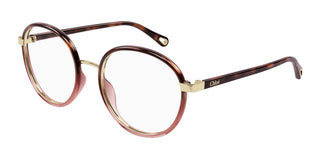 Chloé FRANKY CH0033O women Havana Round Eyeglasses
