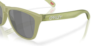 Oakley Lifestyle Frogskins Oo 9013 Men Green Squared Sunglasses