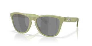 Oakley Lifestyle FROGSKINS OO 9013 men Green Squared Sunglasses