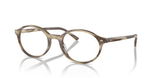 Ray-ban German Rx 5429 Unisex Brown Round Eyeglasses