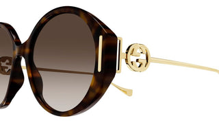 Gucci GG1202S women Havana Round Sunglasses