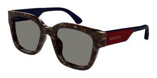 Gucci Gg1670sk Men Havana Butterfly Sunglasses