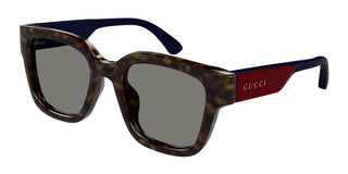 Gucci Gg1670sk Men Havana Butterfly Sunglasses