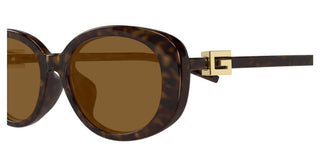 Gucci Gg1684sa Women Havana Round Sunglasses