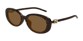 Gucci Gg1684sa Women Havana Round Sunglasses
