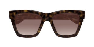 Gucci Gg1714s Women Havana Cat Eye Sunglasses