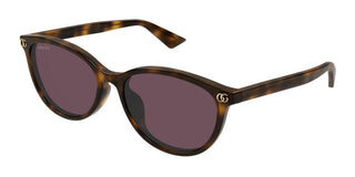 Gucci GG1818SK women Havana Round Sunglasses