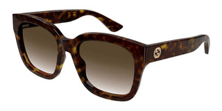 Gucci Gg1838s Men Havana Squared Sunglasses