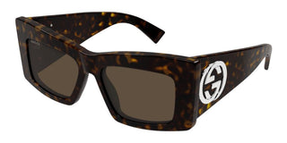 Gucci Gg1842s Women Havana Butterfly Sunglasses