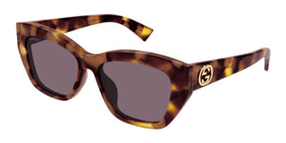 Gucci GG1844SA women Havana Cat Eye Sunglasses