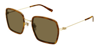 Gucci Gg1848s Women Havana Squared Sunglasses