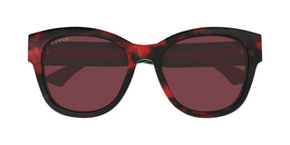 Gucci Gg1866sk Women Havana Butterfly Sunglasses