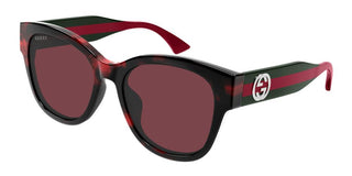 Gucci Gg1866sk Women Havana Butterfly Sunglasses