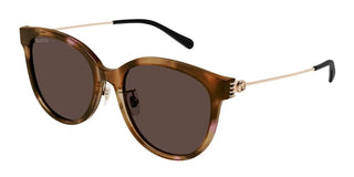Gucci Gg1883sk Women Havana Round Sunglasses
