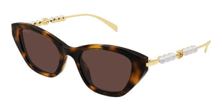Gucci GG1968S women Havana Cat Eye Sunglasses