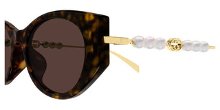 Gucci GG1970SA women Havana Cat Eye Sunglasses