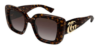 Gucci GG1975S women Havana Butterfly Sunglasses