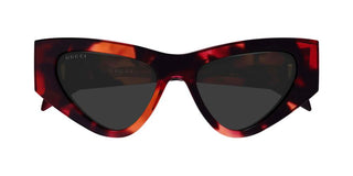 Gucci GG2019S women Havana Cat Eye Sunglasses