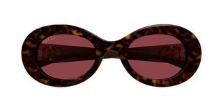 Gucci GG2026S women Havana Round Sunglasses