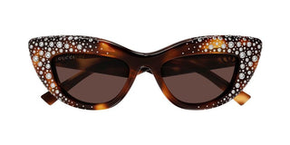 Gucci GG2031S women Havana Cat Eye Sunglasses