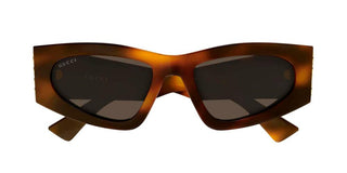 Gucci GG2040S women Havana Cat Eye Sunglasses