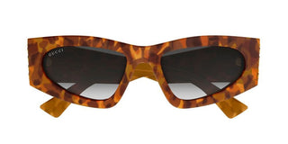Gucci Gg2040s Women Havana Cat Eye Sunglasses