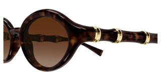 Gucci GG2059S women Havana Oval Sunglasses