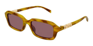 Gucci GG2152S women Havana Squared Sunglasses