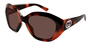 Gucci GG2200S women Havana Geometric Sunglasses