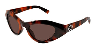 Gucci GG2201S women Havana Cat Eye Sunglasses