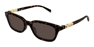 Gucci Gg2208s Women Havana Squared Sunglasses