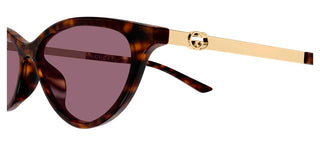 Gucci GG2211S women Havana Cat Eye Sunglasses