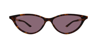 Gucci GG2211S women Havana Cat Eye Sunglasses