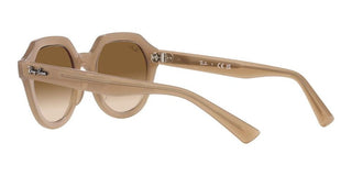 Ray-Ban GINA RB 4399 unisex Brown Geometric Sunglasses
