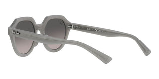 Ray-Ban GINA RB 4399 unisex Grey Geometric Sunglasses
