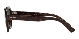 Ray-Ban GINA RB 4399 unisex Brown Geometric Sunglasses