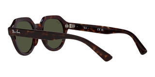 Ray-Ban GINA RB 4399 unisex Brown Geometric Sunglasses