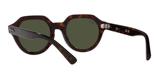 Ray-Ban GINA RB 4399 unisex Brown Geometric Sunglasses