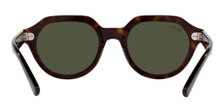Ray-Ban GINA RB 4399 unisex Brown Geometric Sunglasses