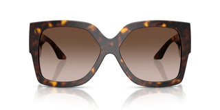 Versace Greca Ve 4402 Women Havana Oversize Sunglasses