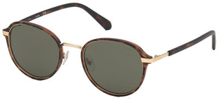 Guess Gu00031 Men Havana Round Sunglasses
