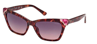 Guess GU7840 women Havana Geometric Sunglasses