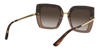 Dolce & Gabbana HALF PRINT DG 4373 women Havana Butterfly Sunglasses