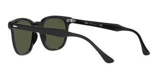 Ray-Ban HAWKEYE RB 2298 unisex Black Squared Sunglasses