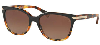 Coach HC 8132 women Black Squared Sunglasses