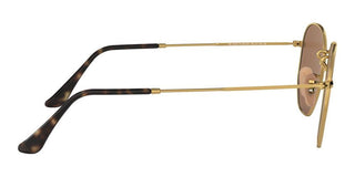 Ray-Ban HEXAGONAL METAL RB 3548N unisex Gold Geometric Sunglasses