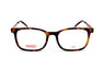havana