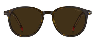 Hugo HG 1169/S men Havana Geometric Sunglasses