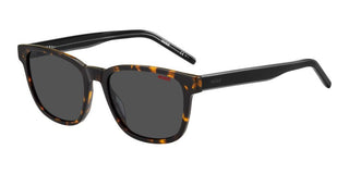 Hugo HG 1243/S men Havana Squared Sunglasses